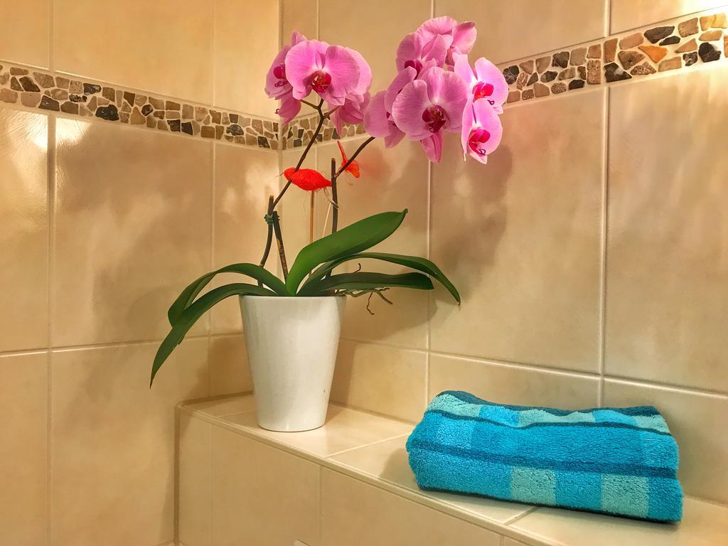 Apartment Happy Mosel Кохем Экстерьер фото